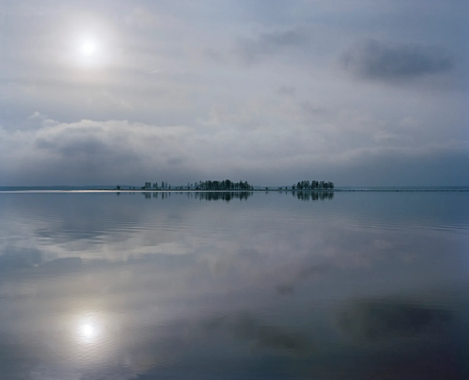 November Blues — 2016 — Äimärautio