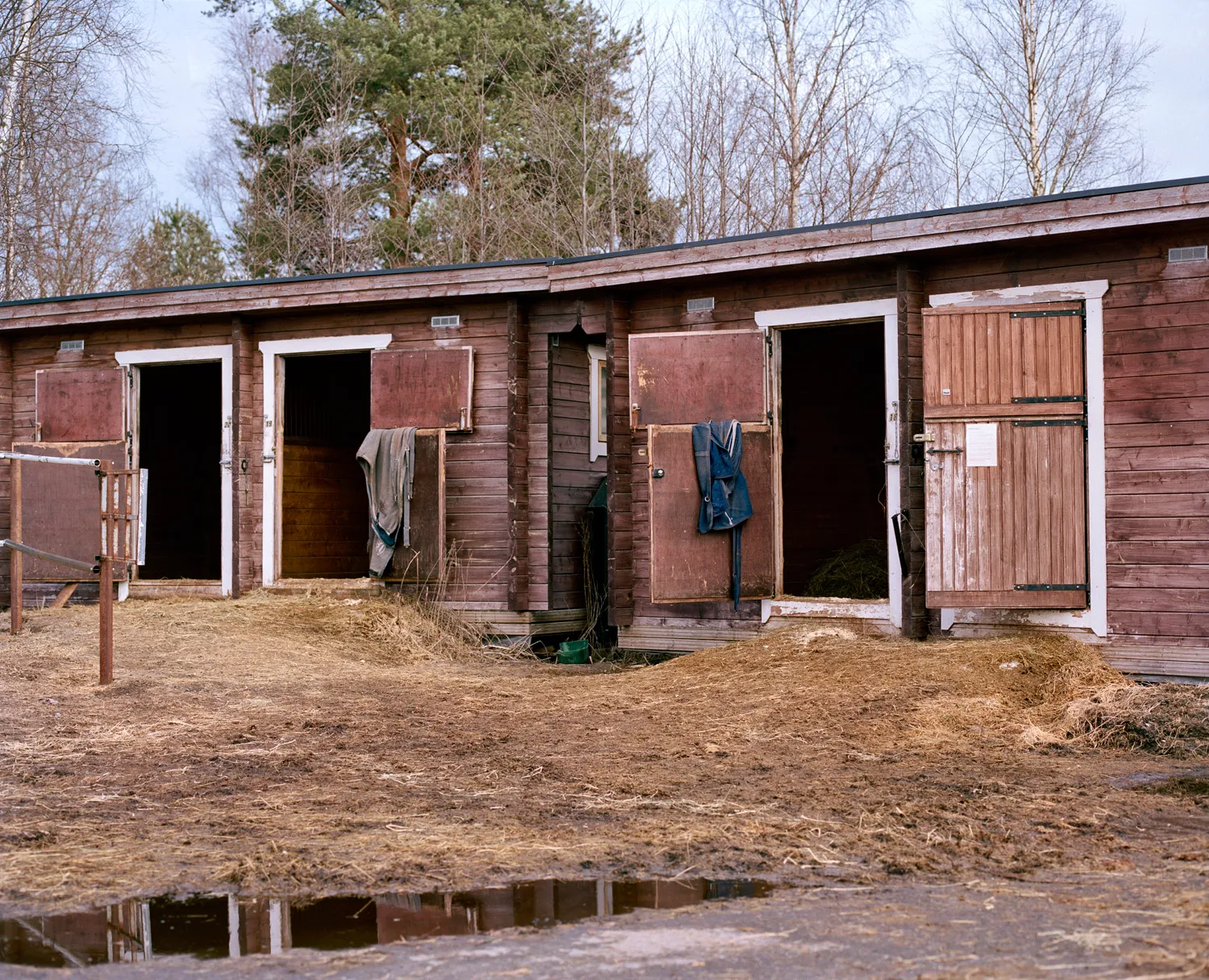 Nobody Home — 2016 — Äimärautio