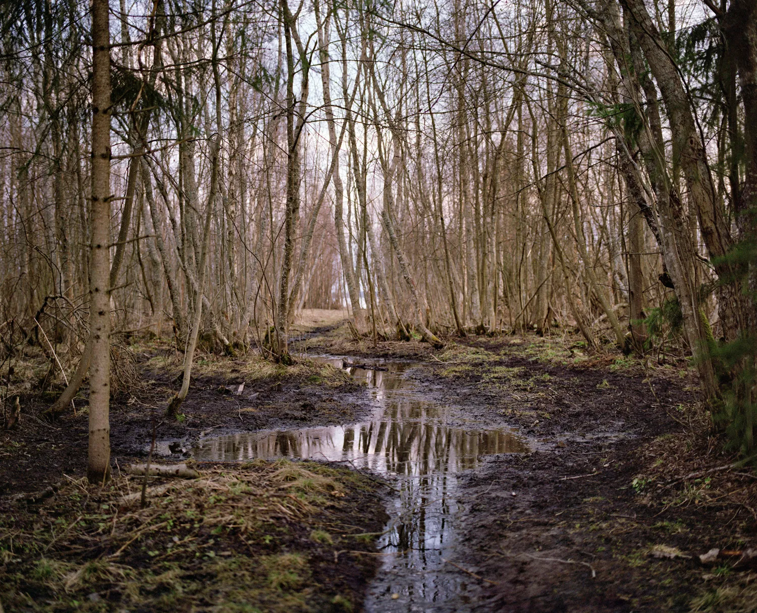 Mindscape II — 2016 — Äimärautio