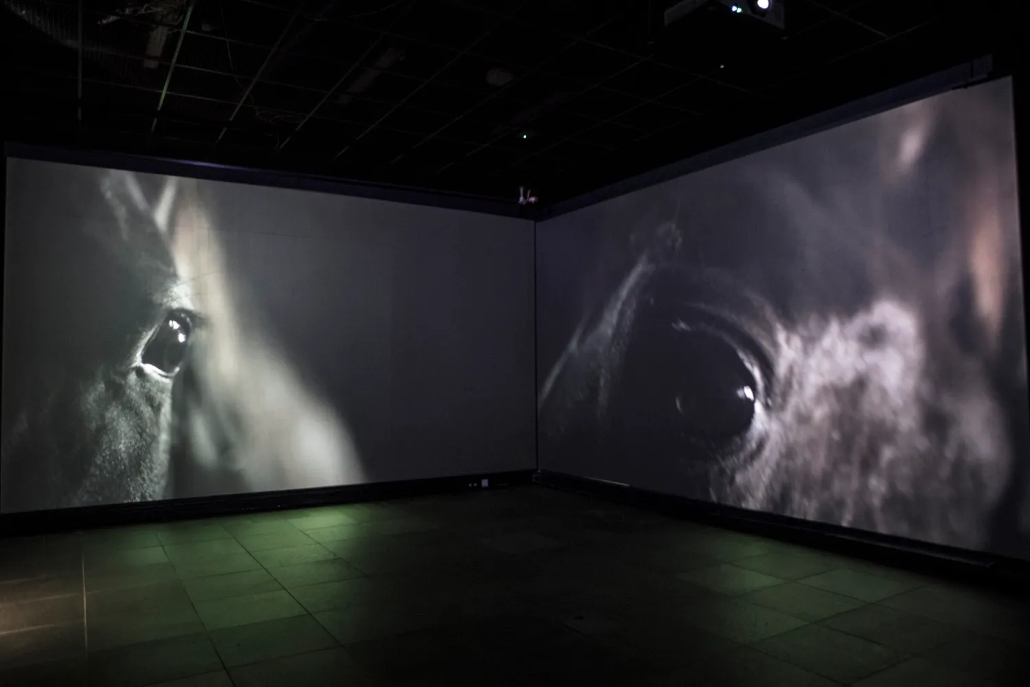 Exhibition view from Oulu Art Museum 2019 — The Horse
