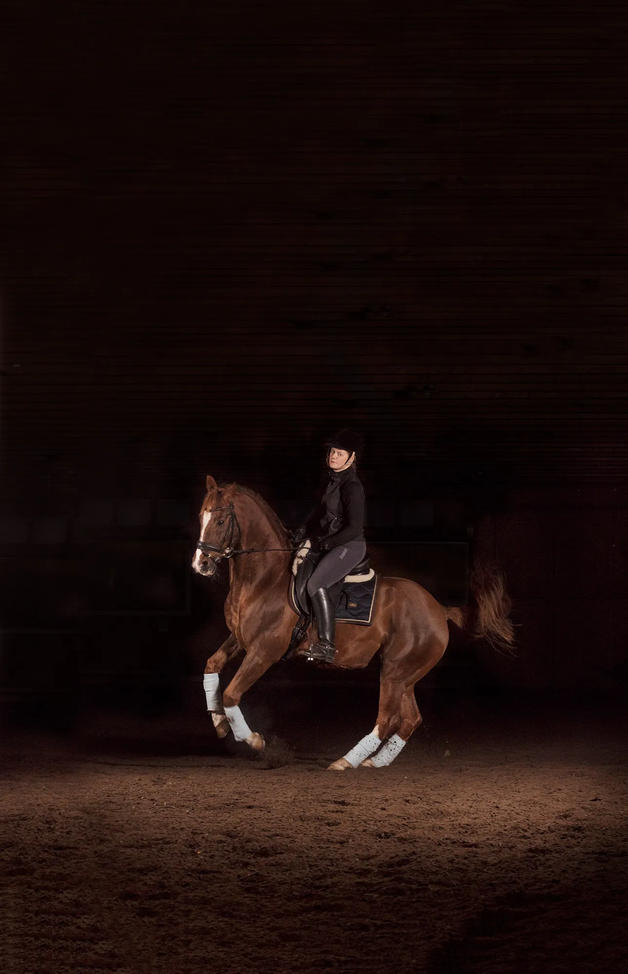 Pirouette I — The Horse