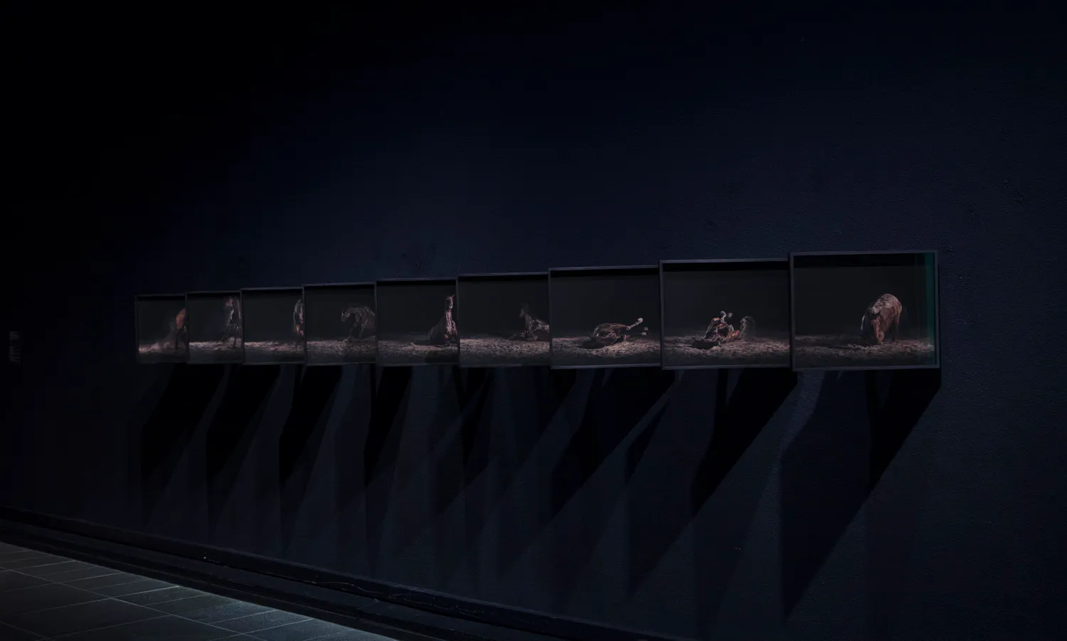 Exhibition view from Oulu Art Museum 2019 — The Horse