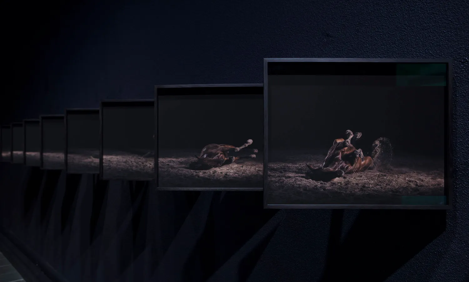 Exhibition view from Oulu Art Museum 2019 — The Horse