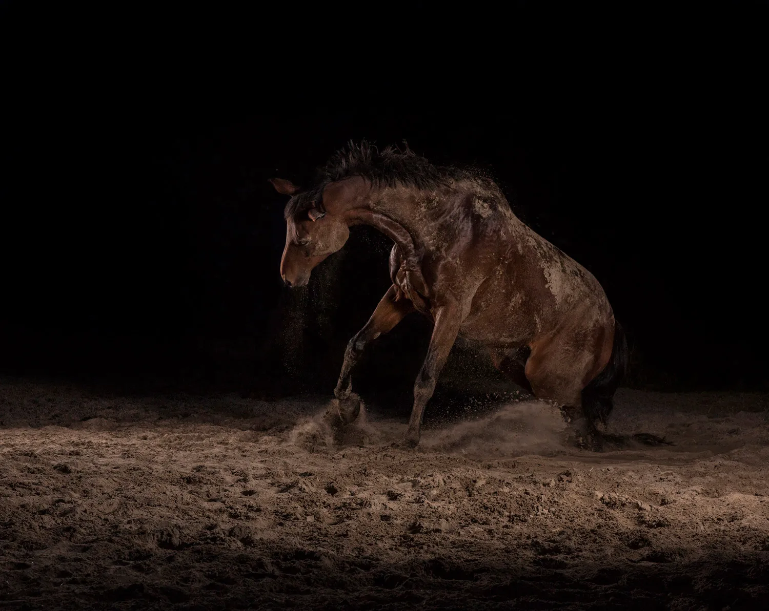Momentum I-IX 6 — The Horse