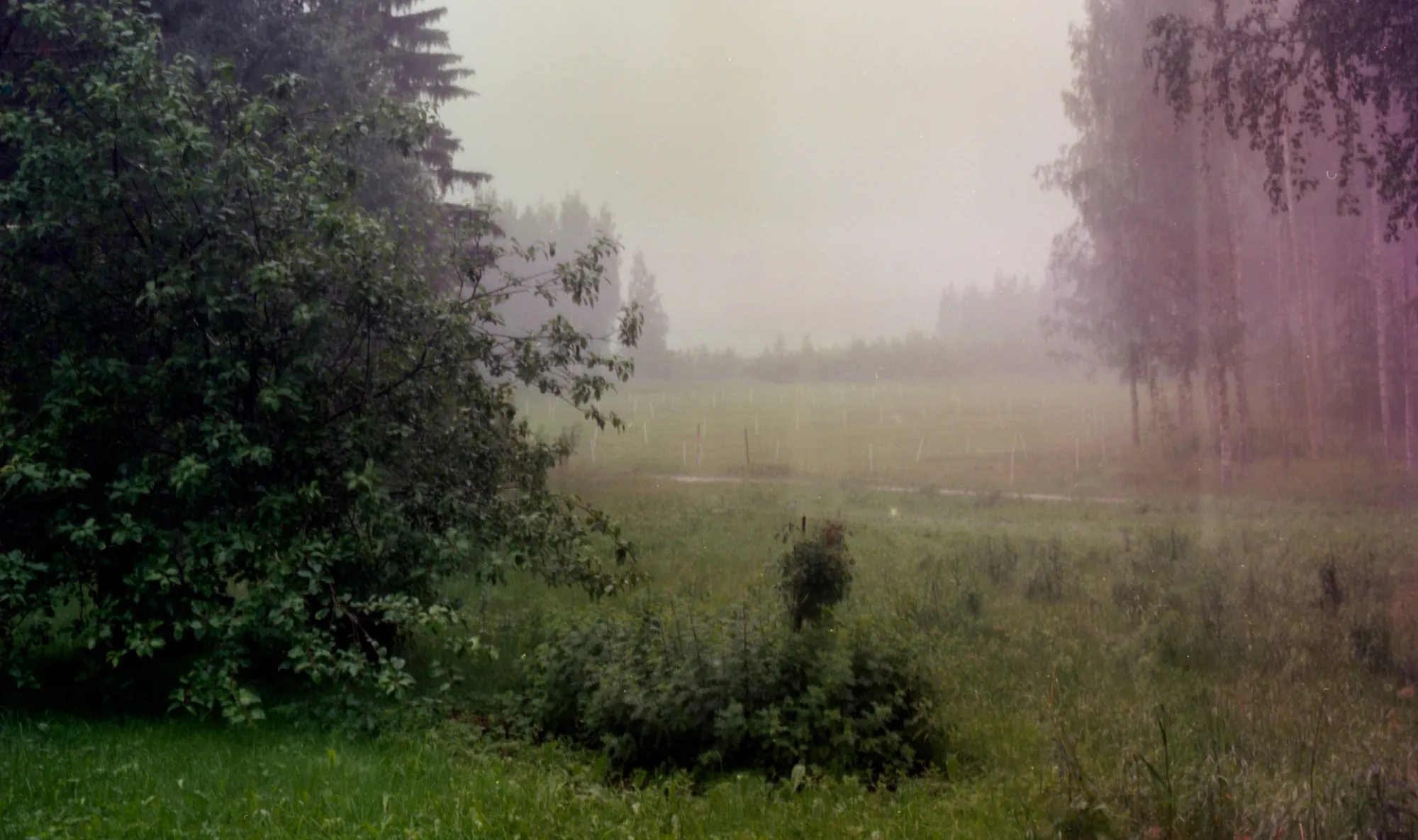 Pastureland
