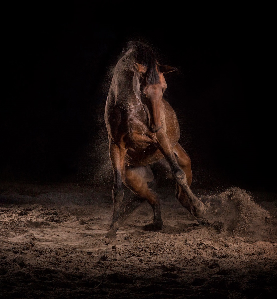 The Horse — Kati Leinonen