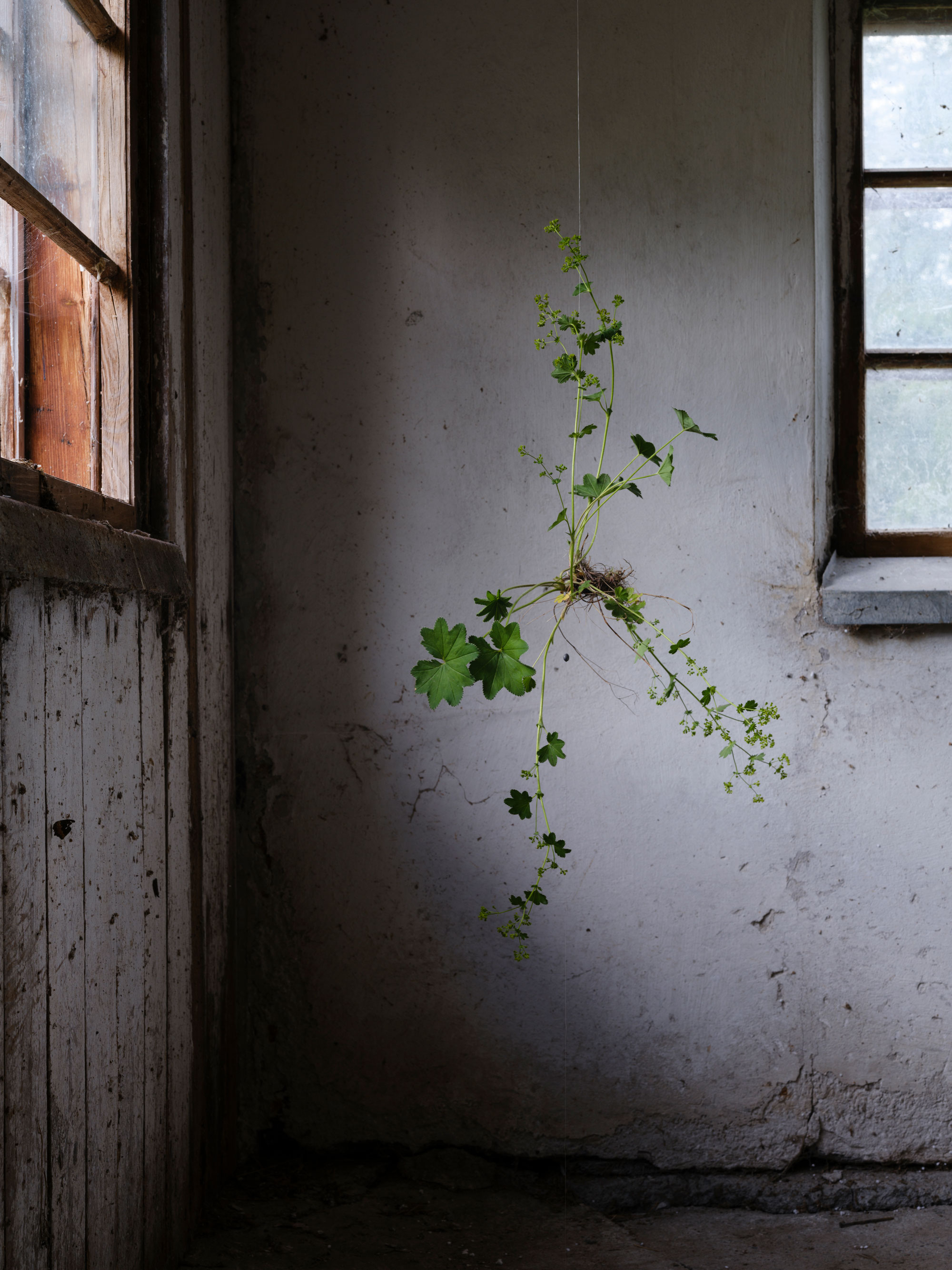 Pastureland — Kati Leinonen