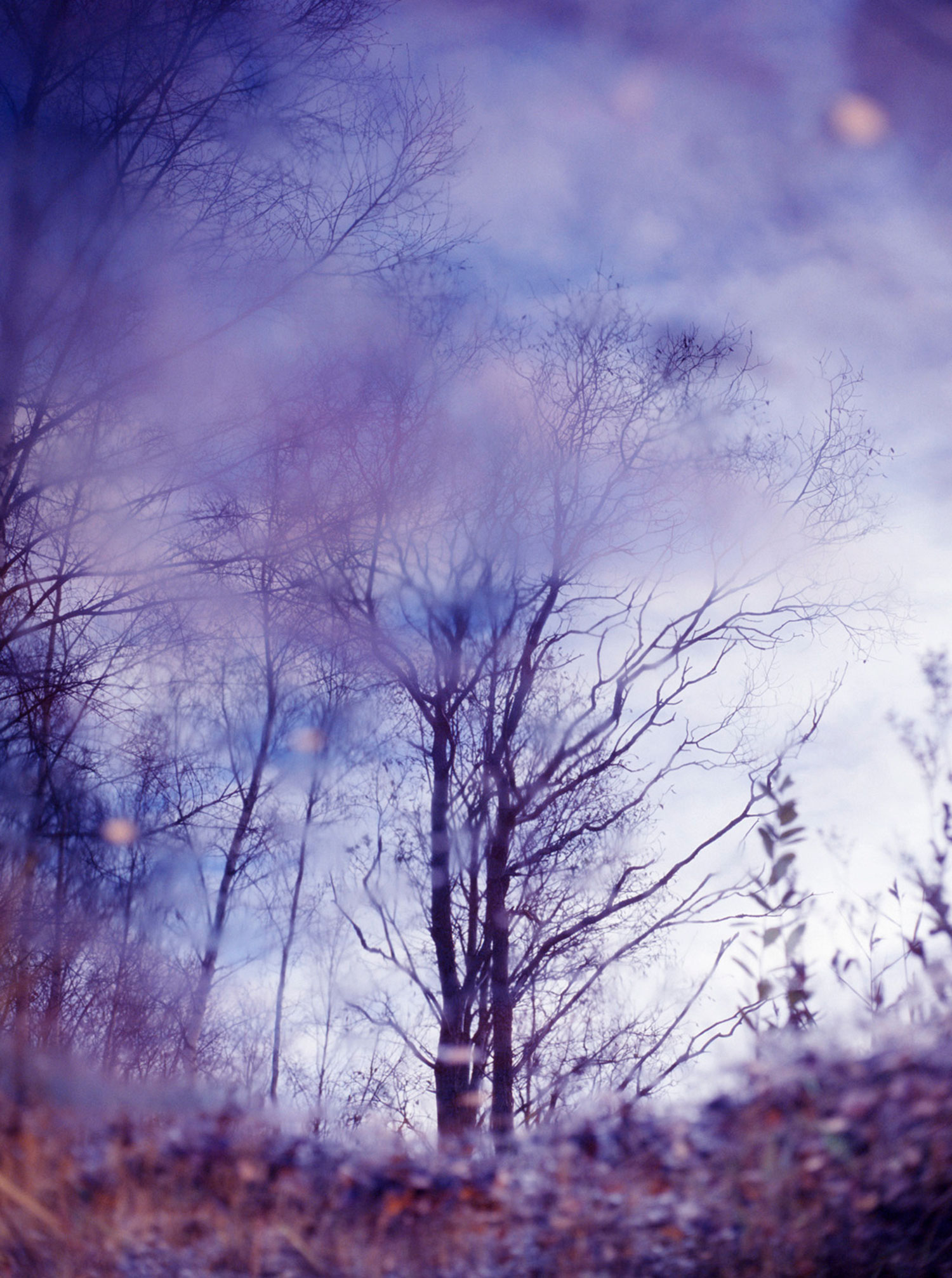 Reflection — Kati Leinonen