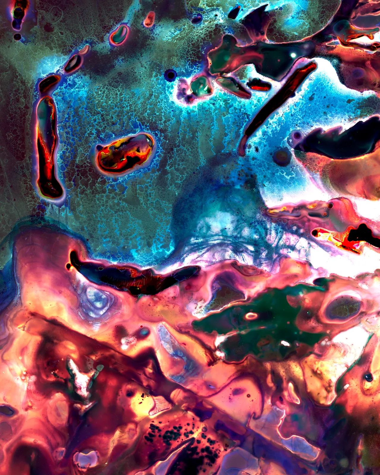 Seaweed Experimentations — Kati Leinonen