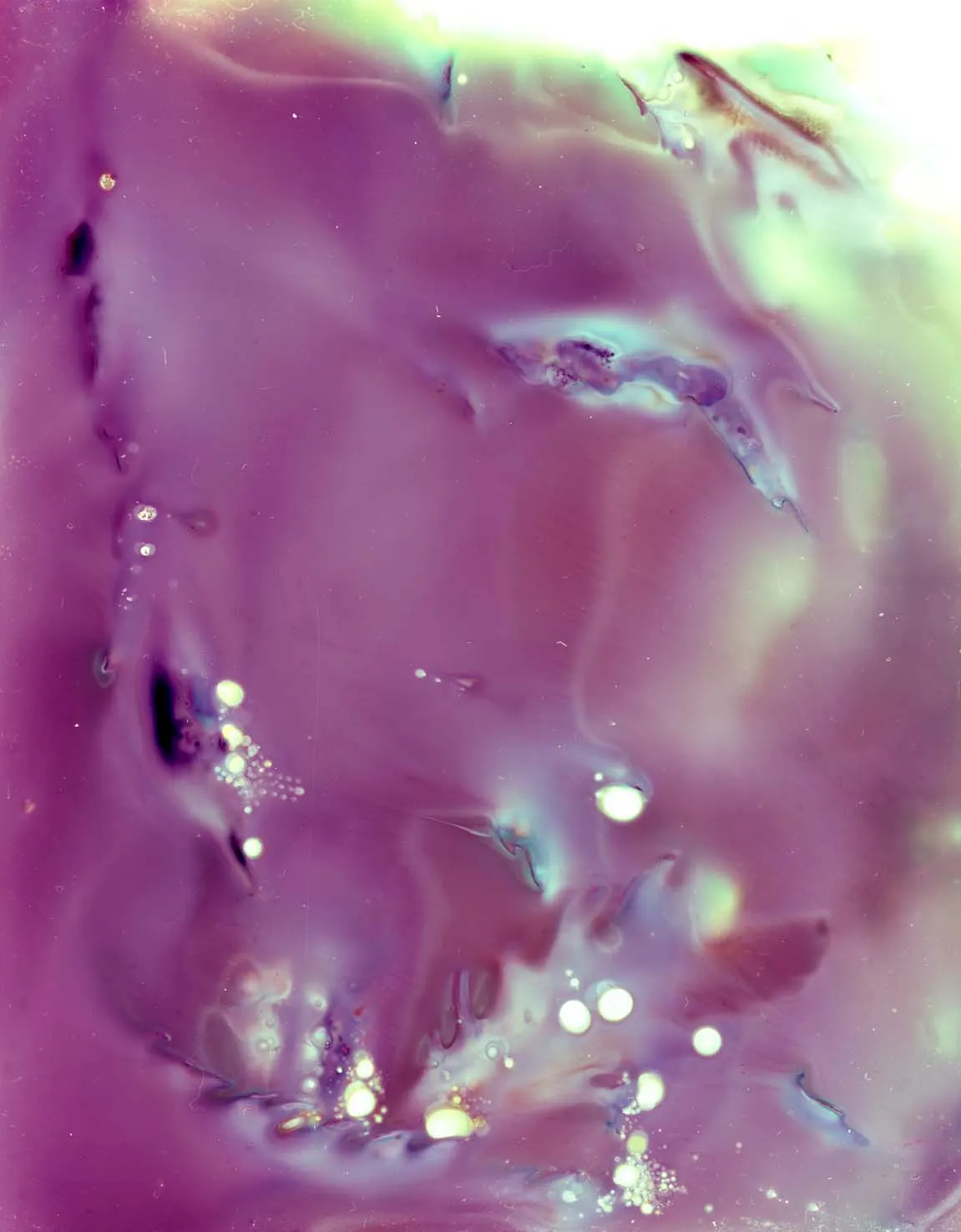 56,78912° P, 12,61494° (Steninge, Sweden) — 2025 — Seaweed Experimentations