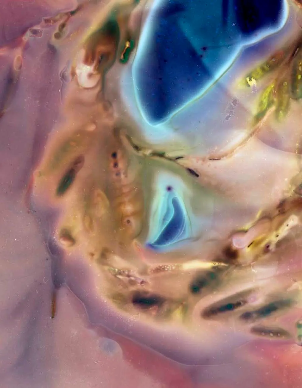 56,88662° P, 12,49971° (Skrea Strand, Sweden) — 2025 — Seaweed Experimentations