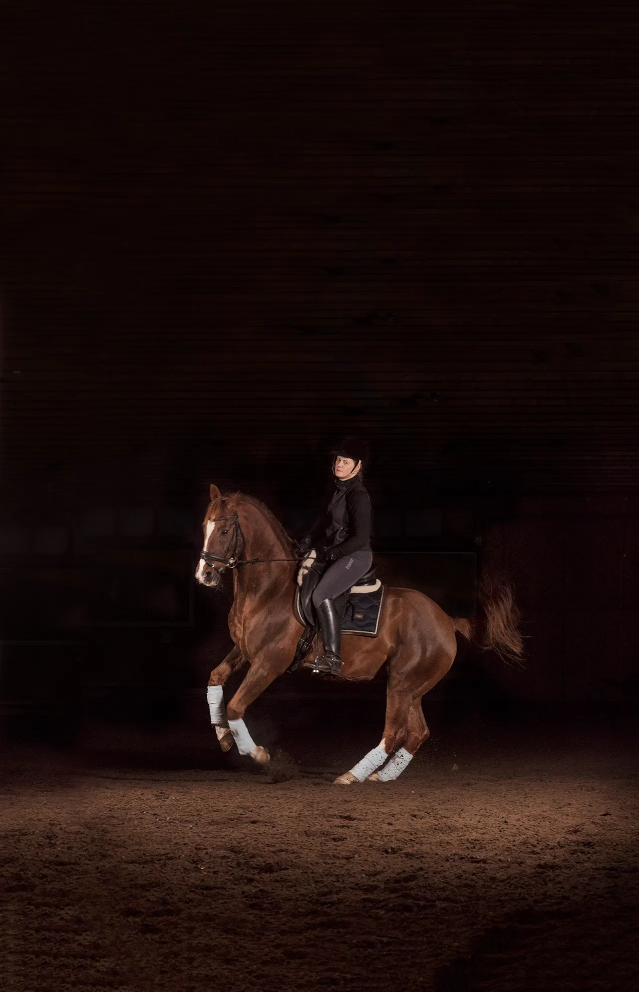 The Horse