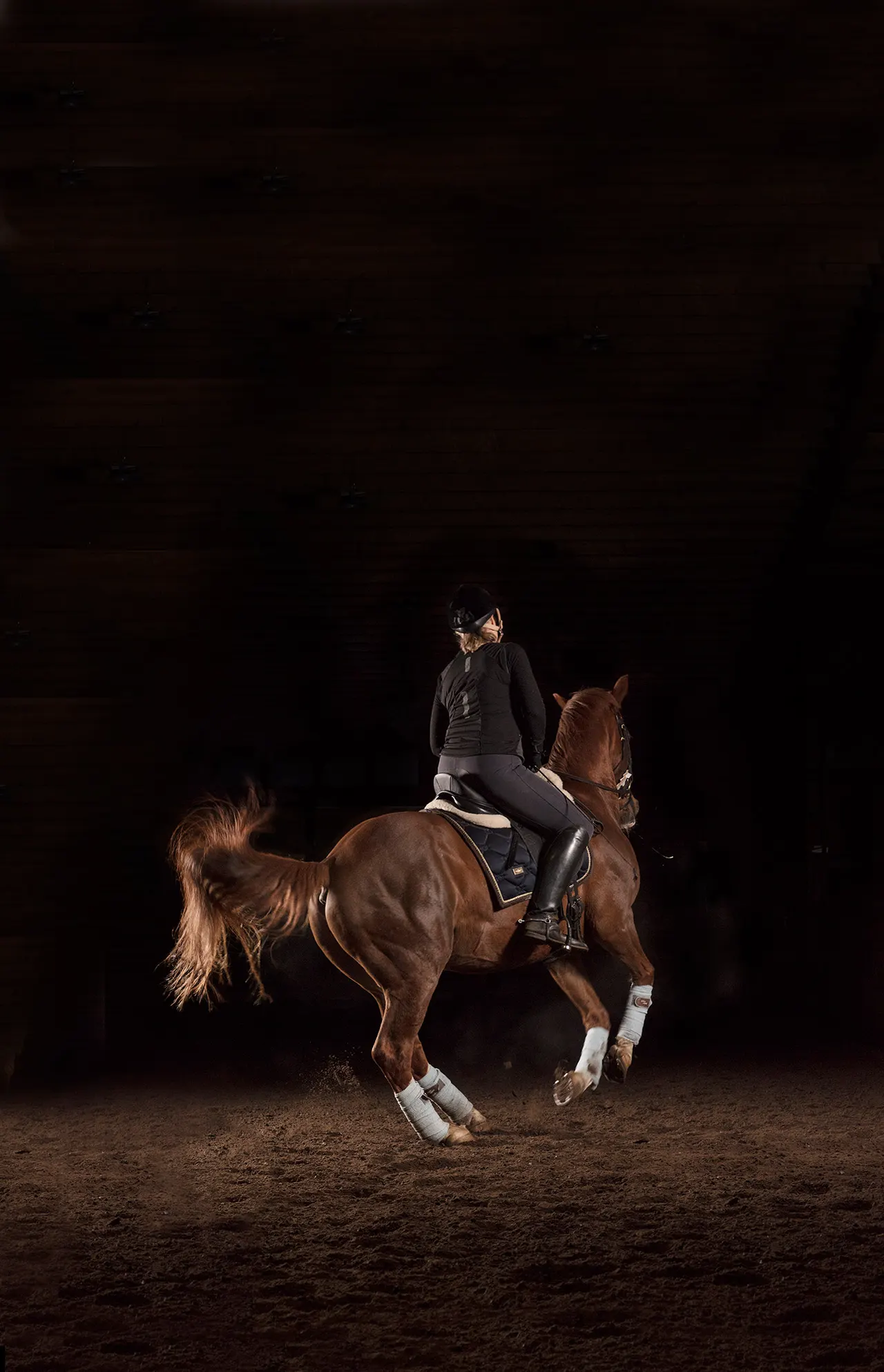 Pirouette I-II — 2017 — The Horse