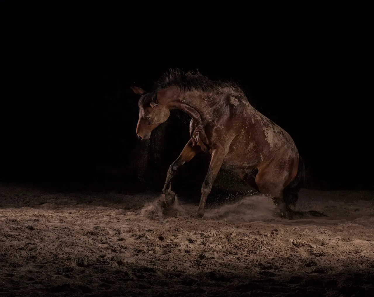 Momentum I-IX 6 — The Horse