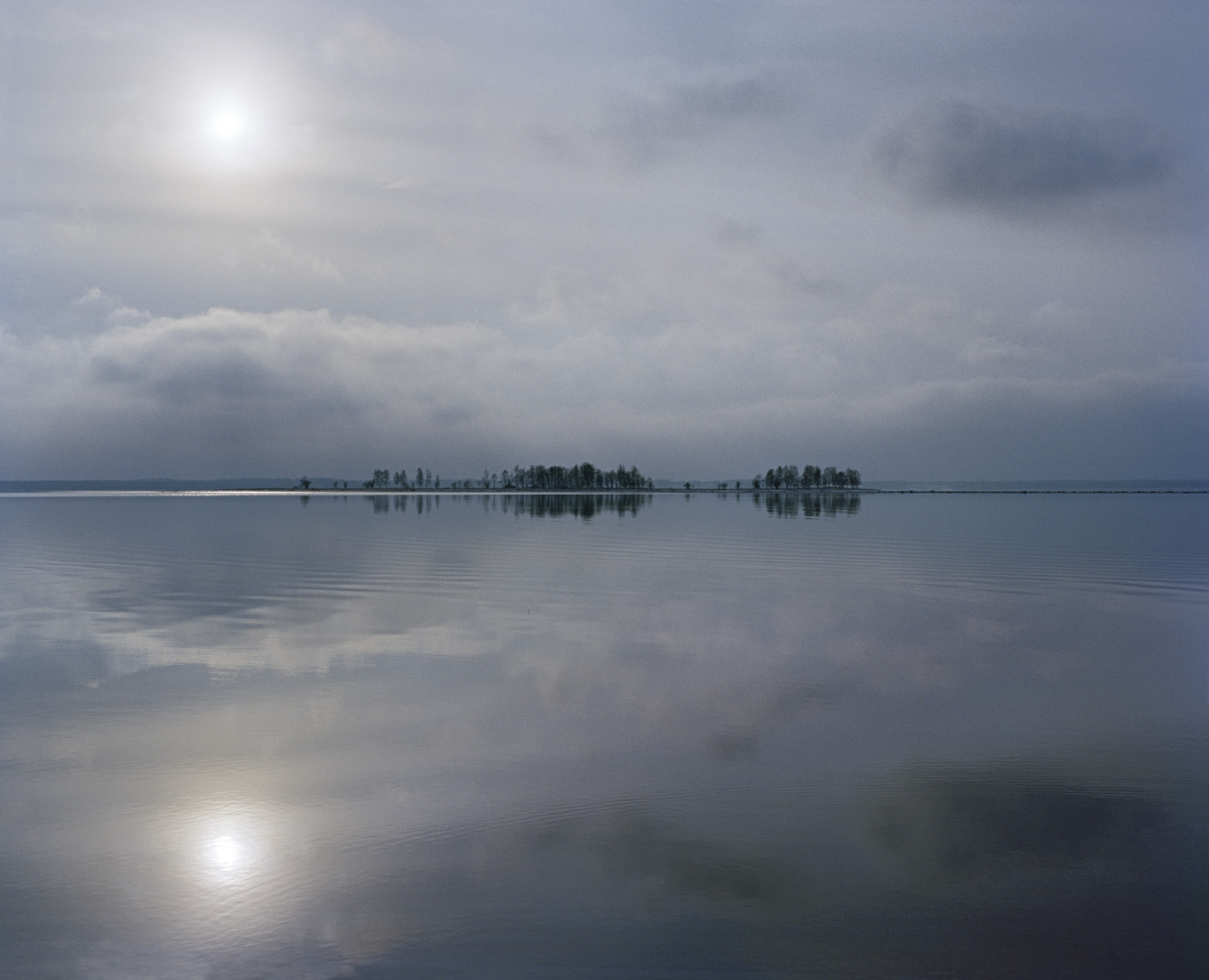 November Blues — 2016 — Äimärautio