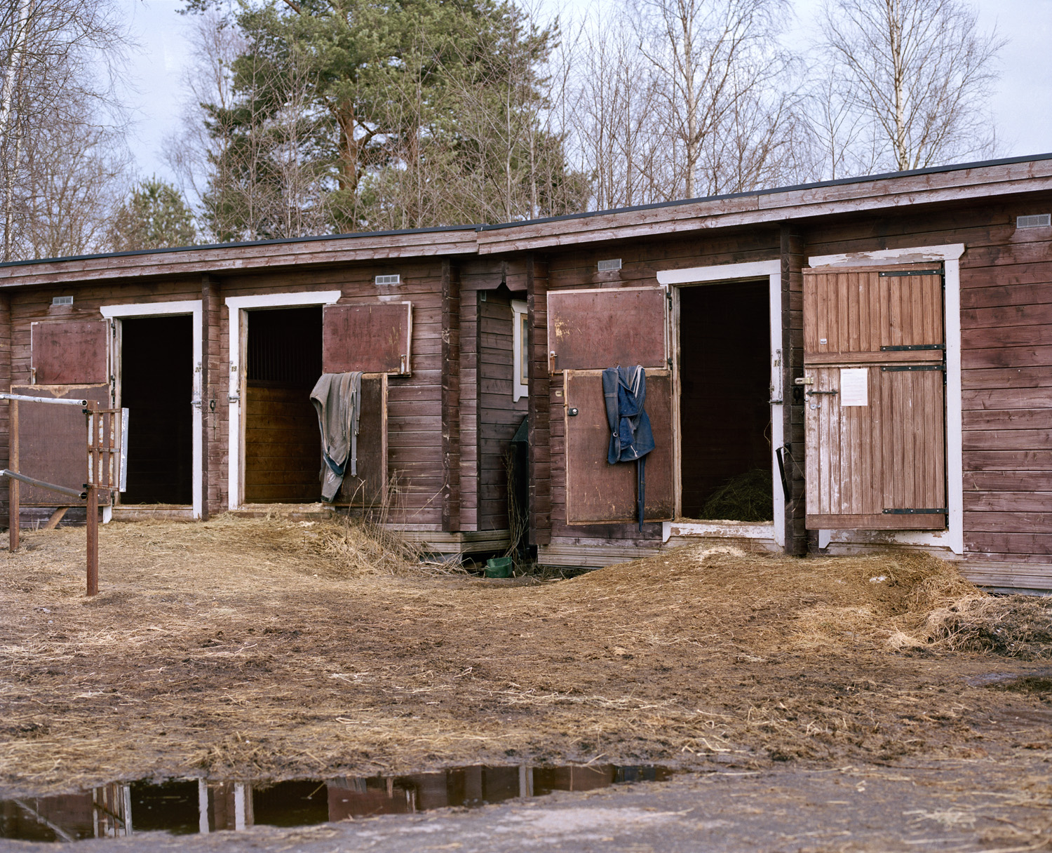 Nobody Home — 2016 — Äimärautio