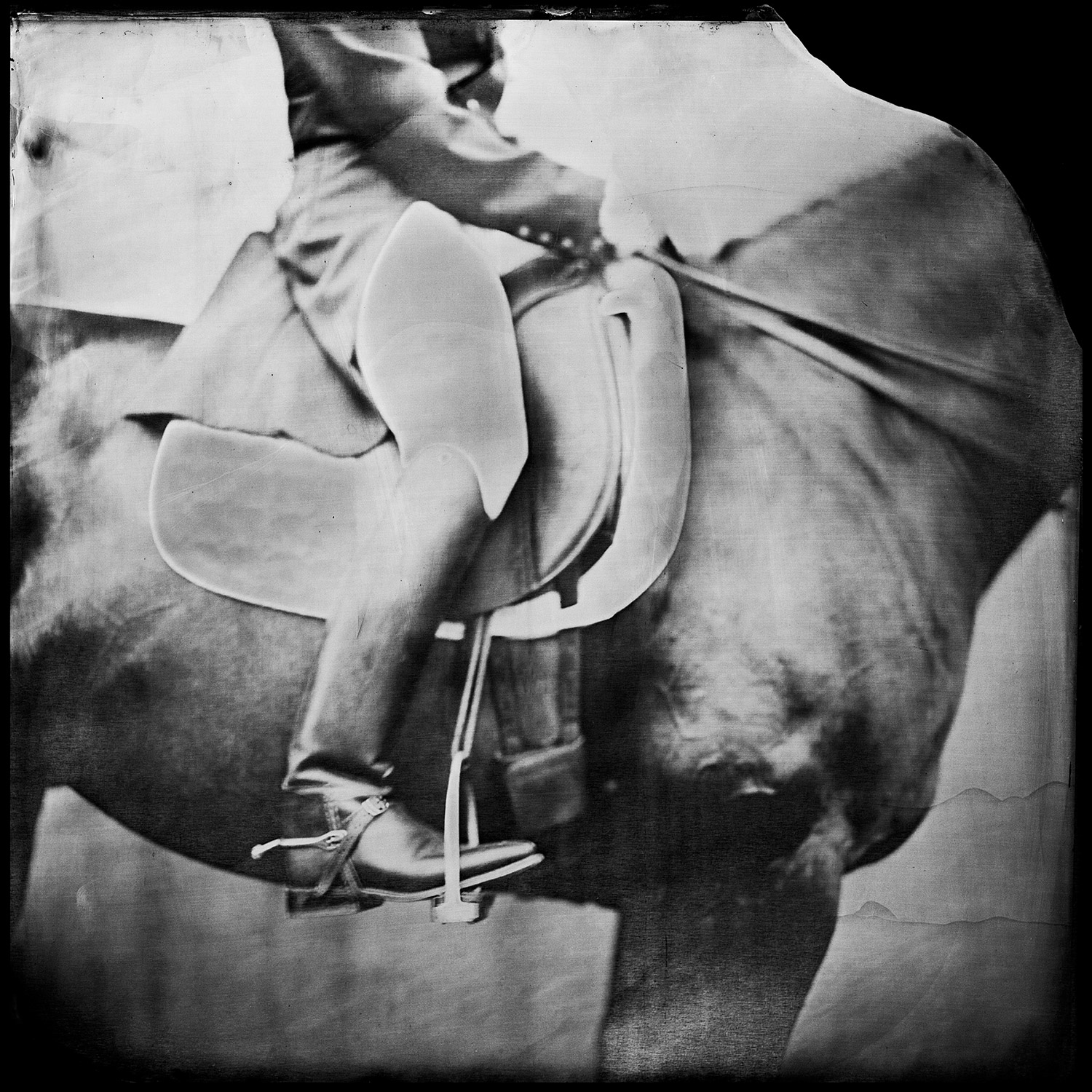 Spur — 2015. From series — Horse Folks. — Collodion