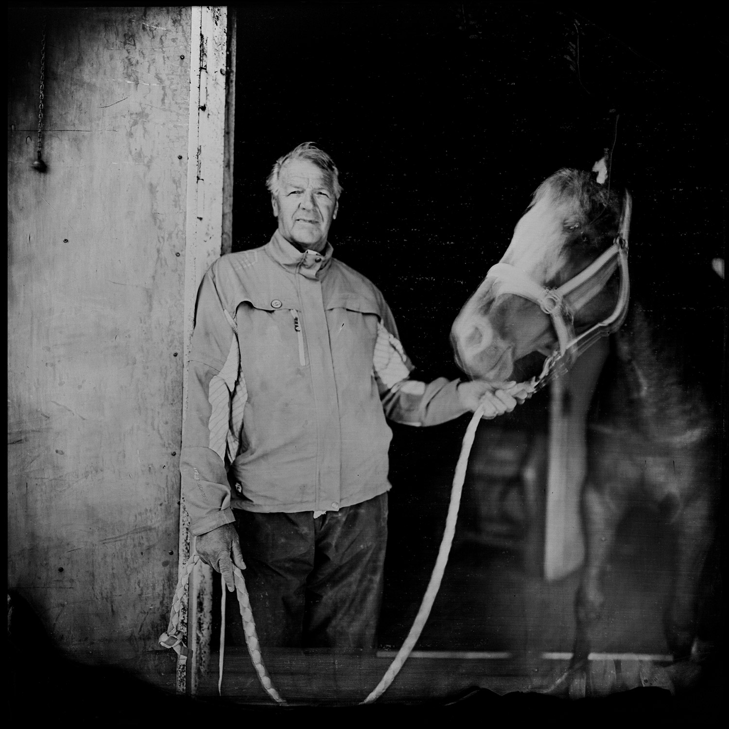 Halter — 2015. From series — Horse Folks. — Collodion