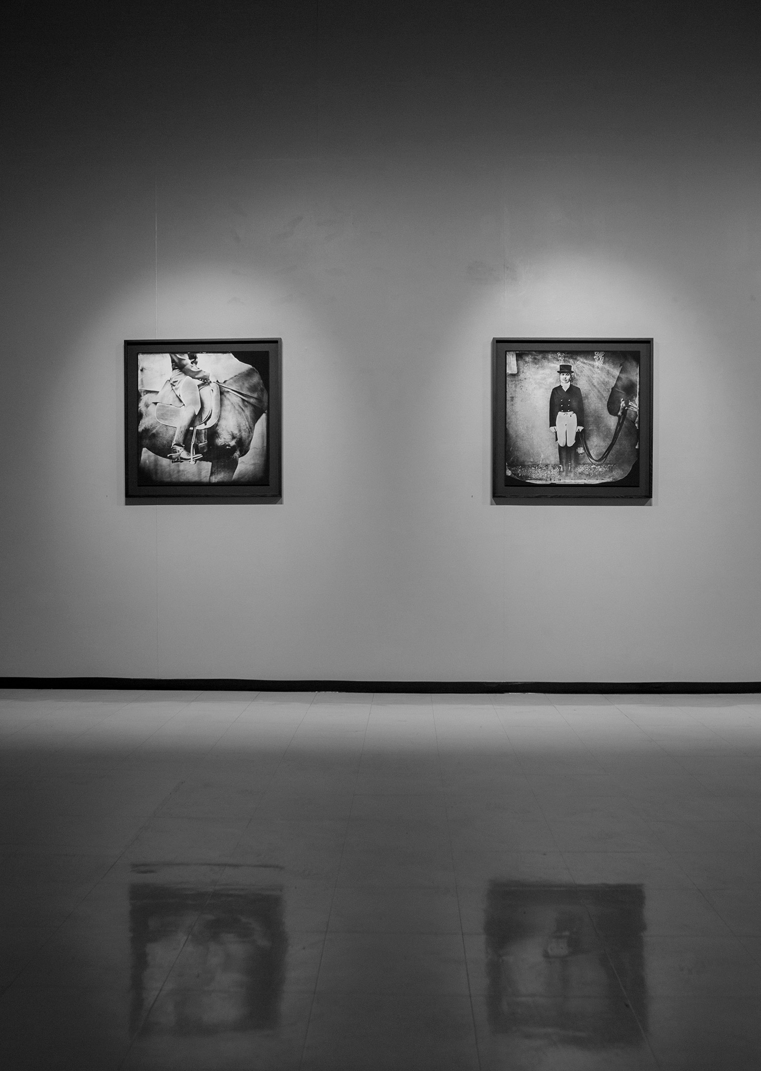 Collodion