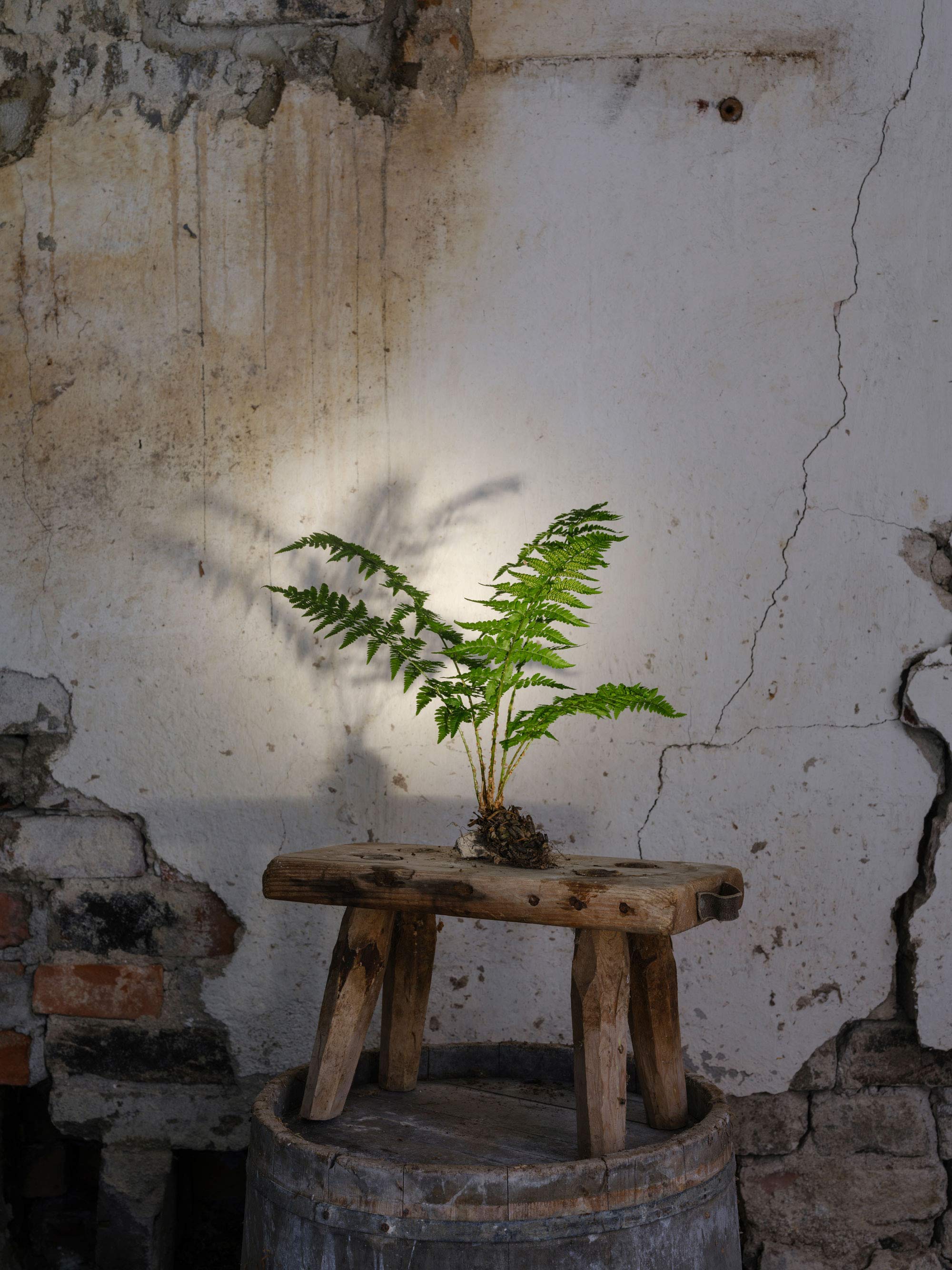 2024 — Pastureland