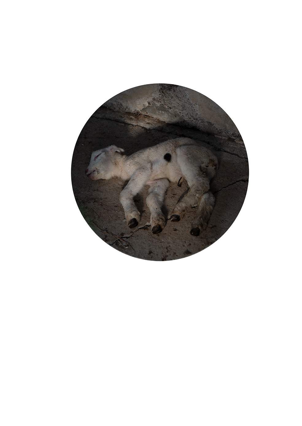 Beginning and The End I, 2024 — Pastureland