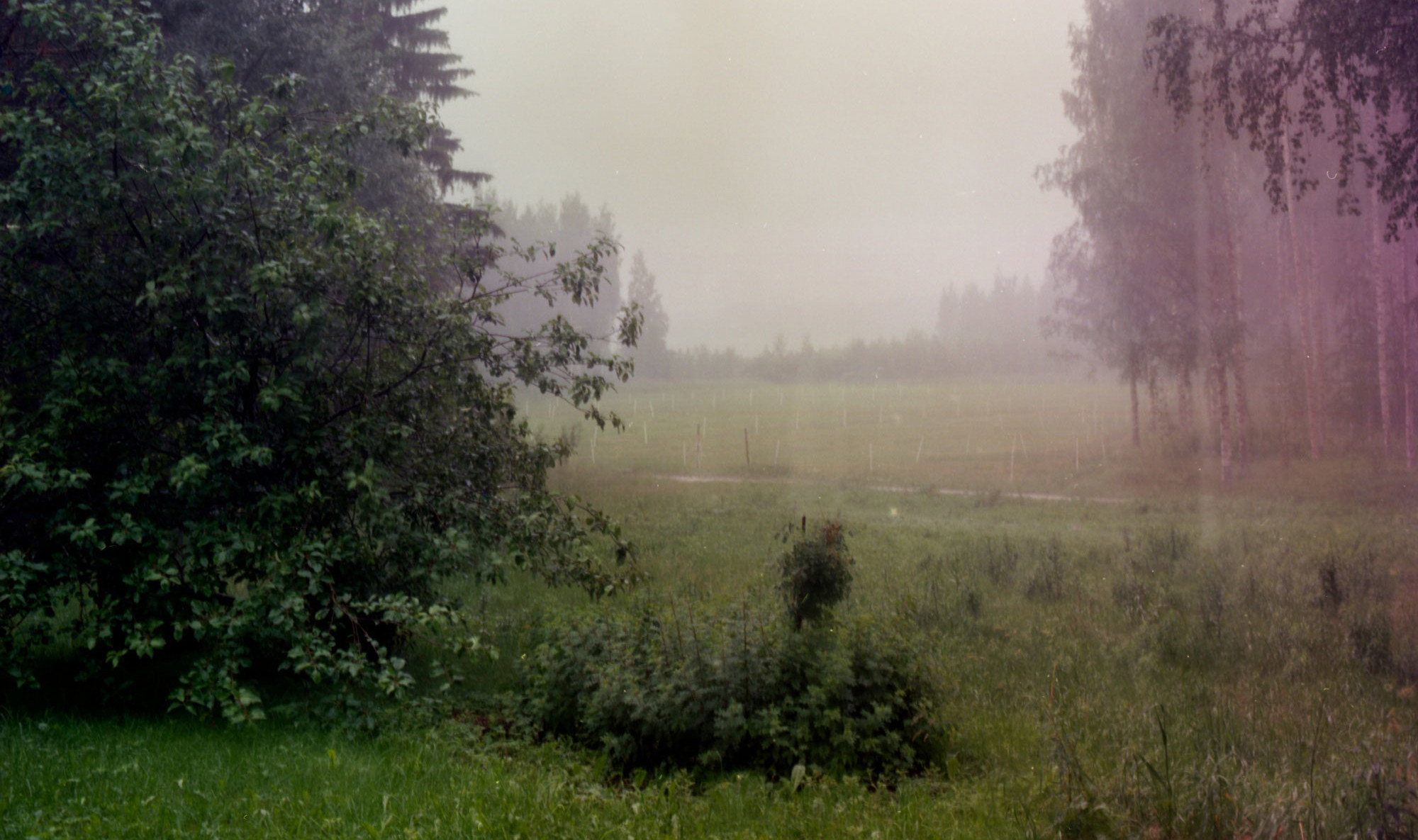 Pastureland