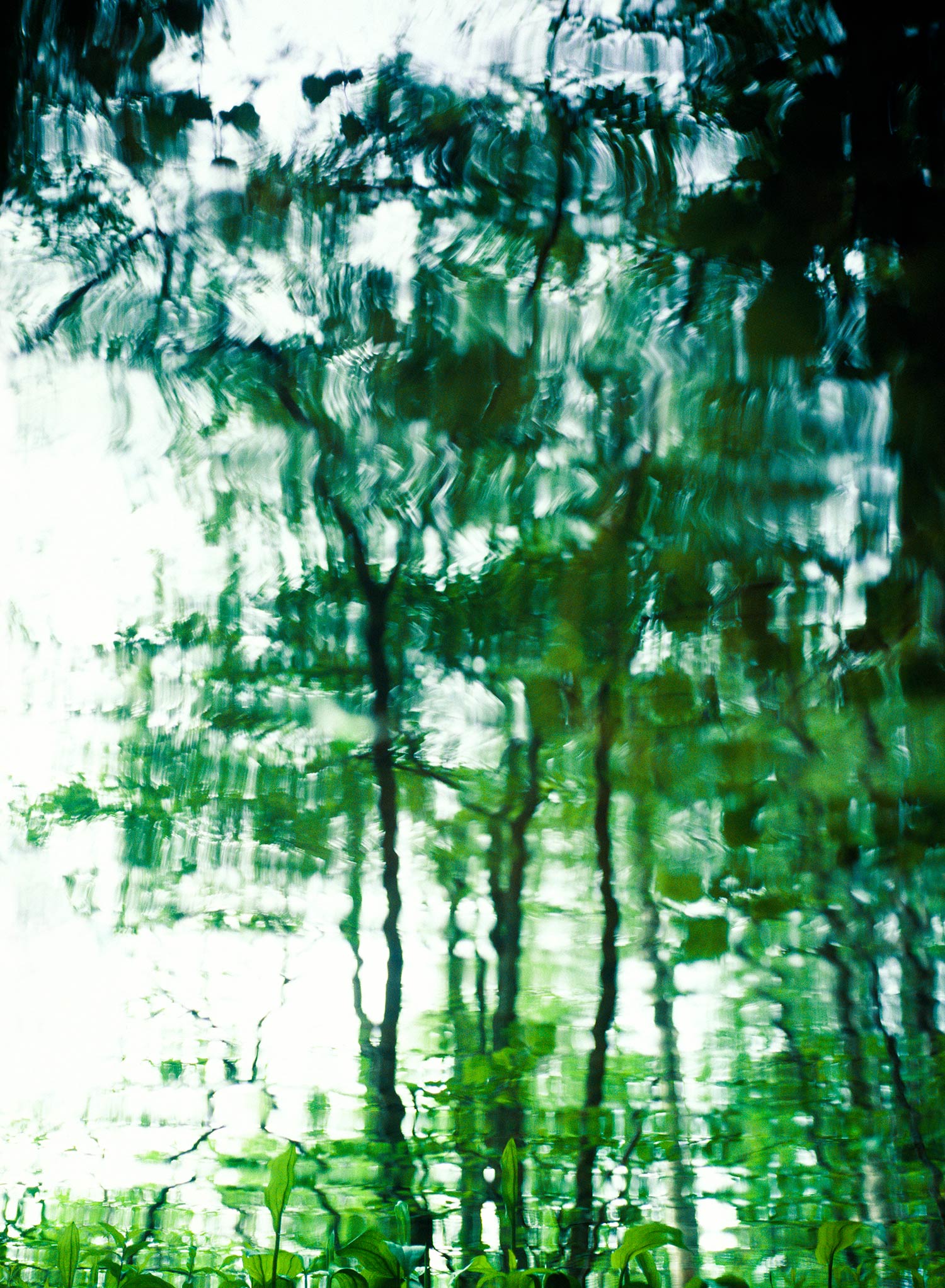 Whisper — 2015 — Reflection