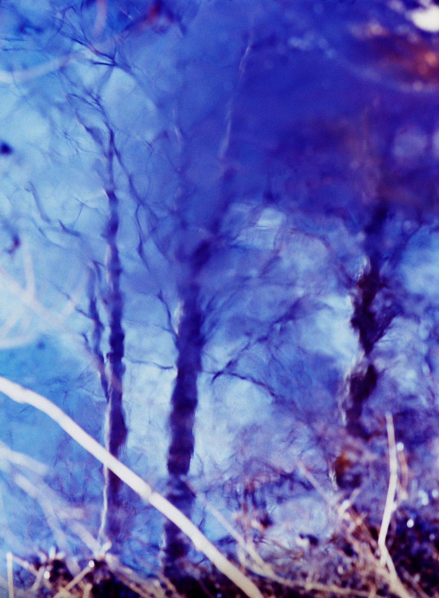 Memoirs — 2014 — Reflection