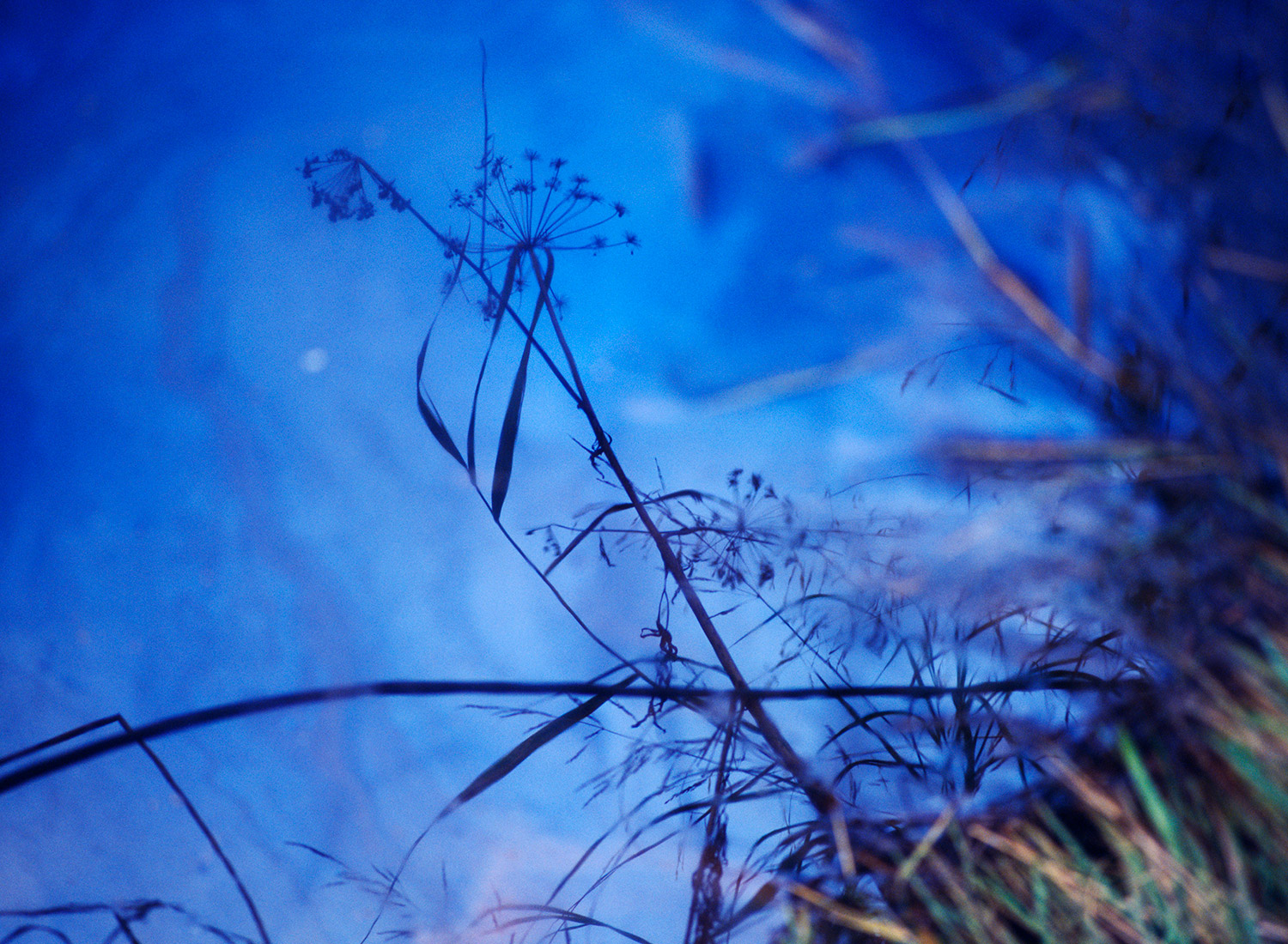 Kuuntalo — 2014 — Reflection