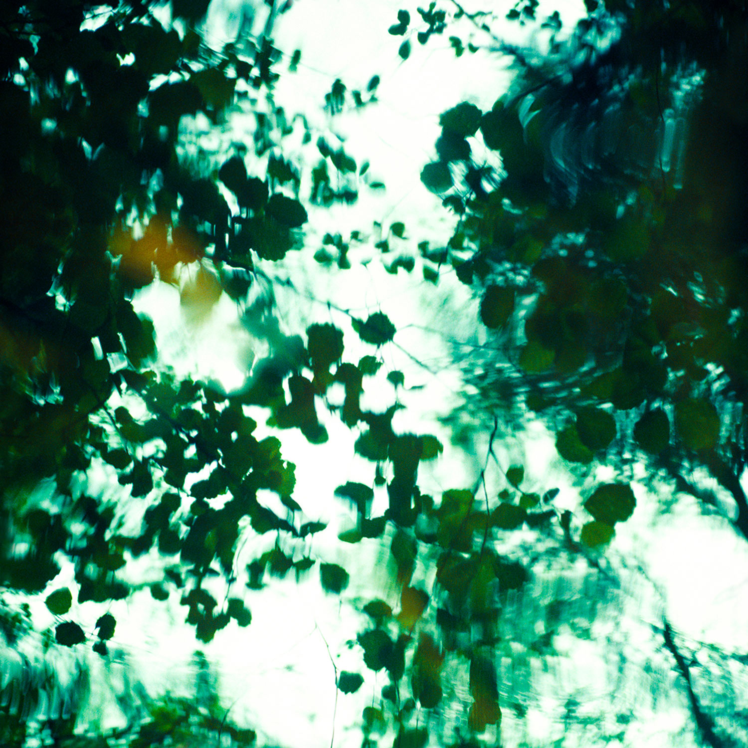 Reverie — 2015 — Reflection