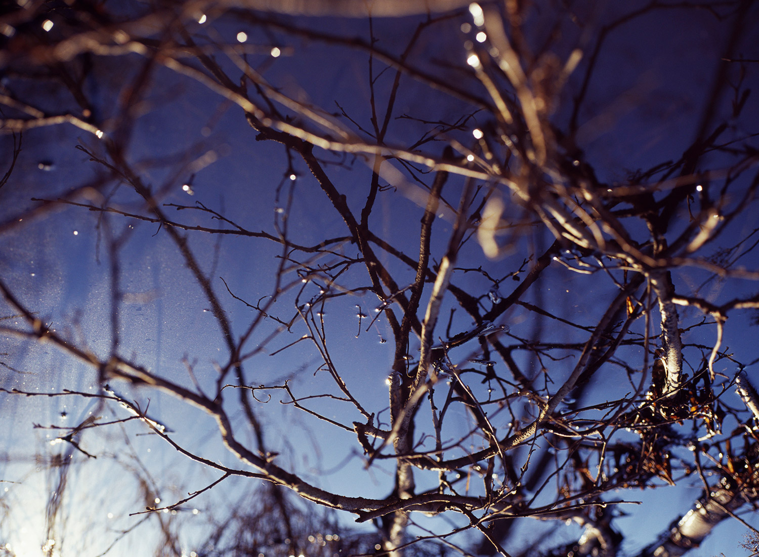 Memento — 2014 — Reflection