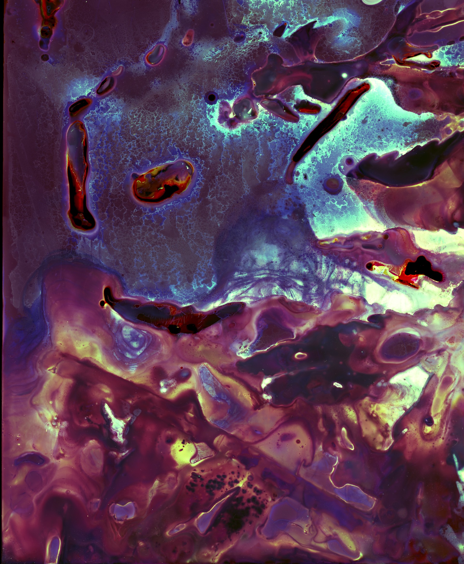 56,78912° P, 12,61494° (Steninge, Sweden) Nro II — Seaweed Experimentations