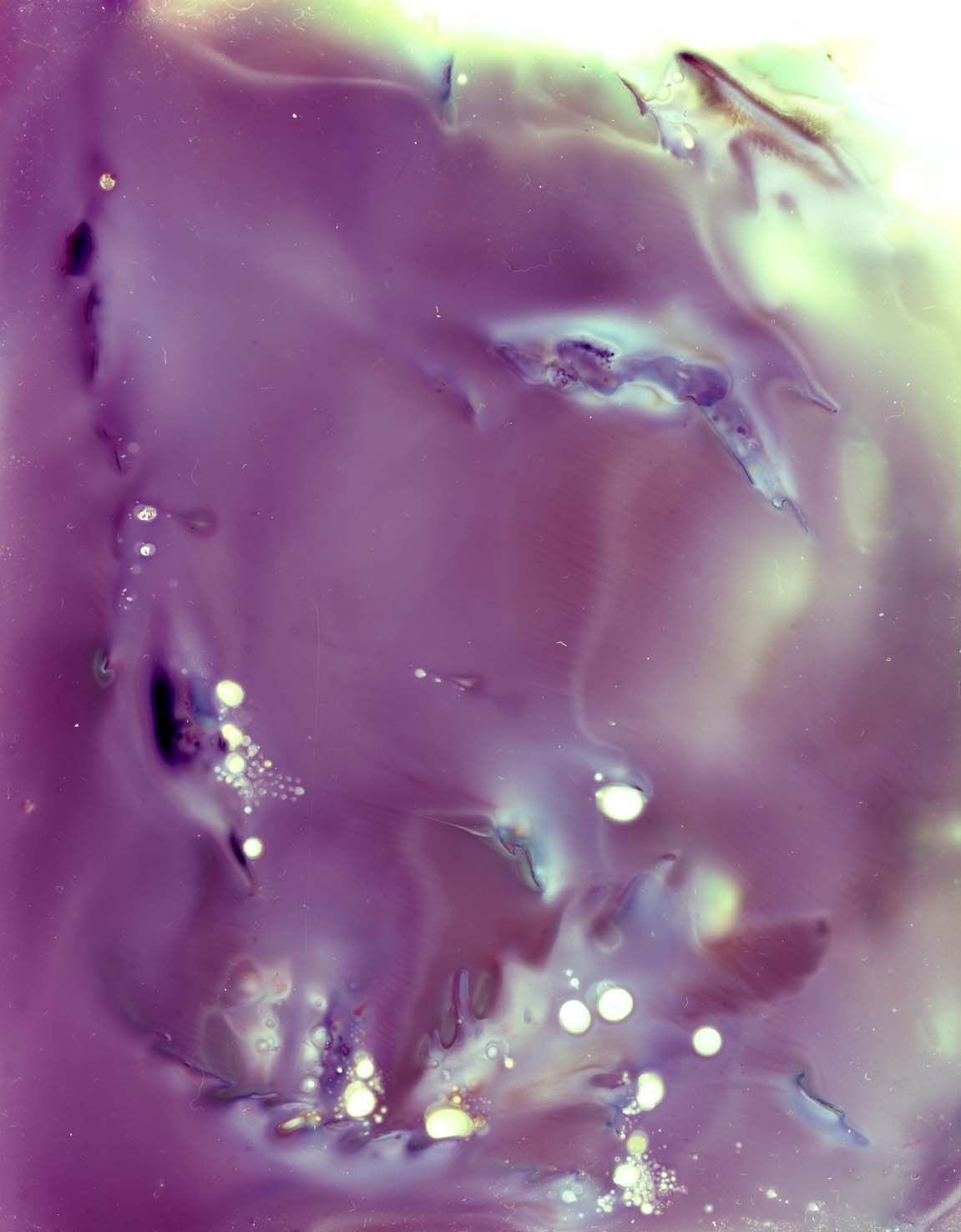 56,78912° P, 12,61494° (Steninge, Sweden) Nro III — Seaweed Experimentations