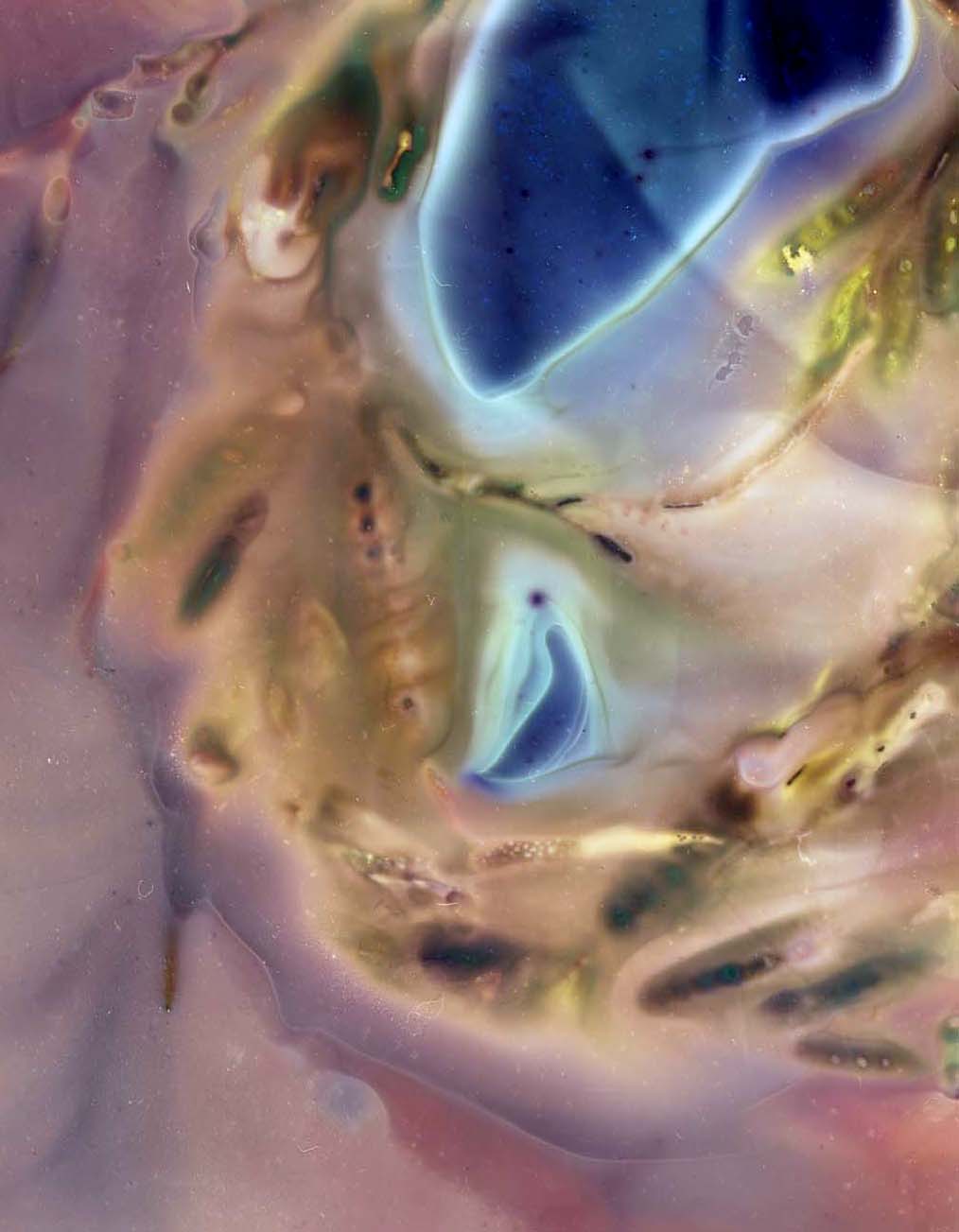 56,88662° P, 12,49971° (Skrea Strand, Sweden) Nro I — Seaweed Experimentations