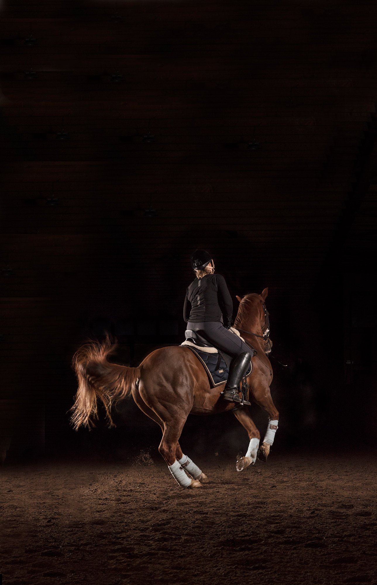 Pirouette I-II — 2017 — The Horse