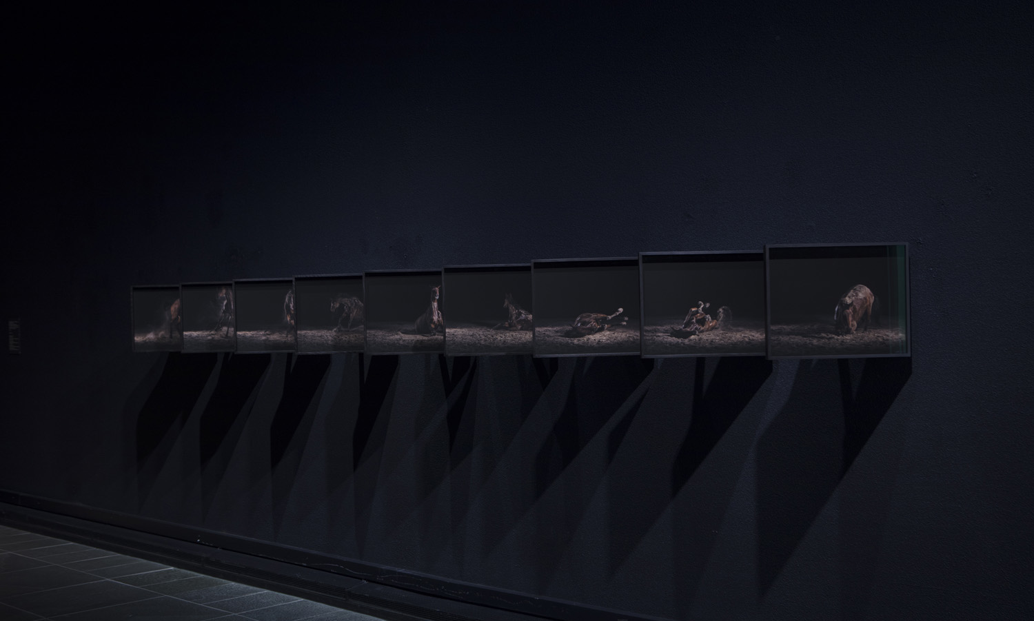 Exhibition view from Oulu Art Museum 2019 — The Horse