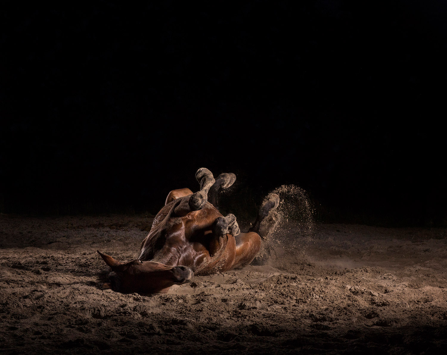 Momentum I-IX 3 — The Horse