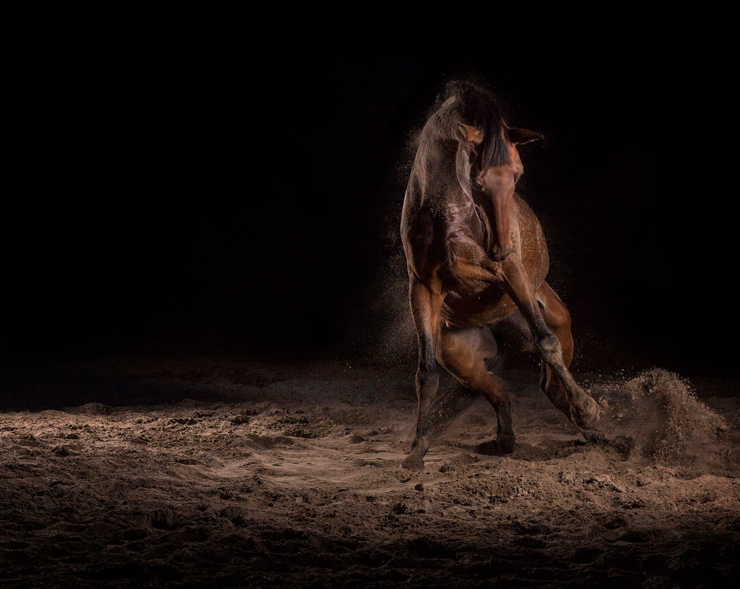 Momentum I-IX 7 — The Horse