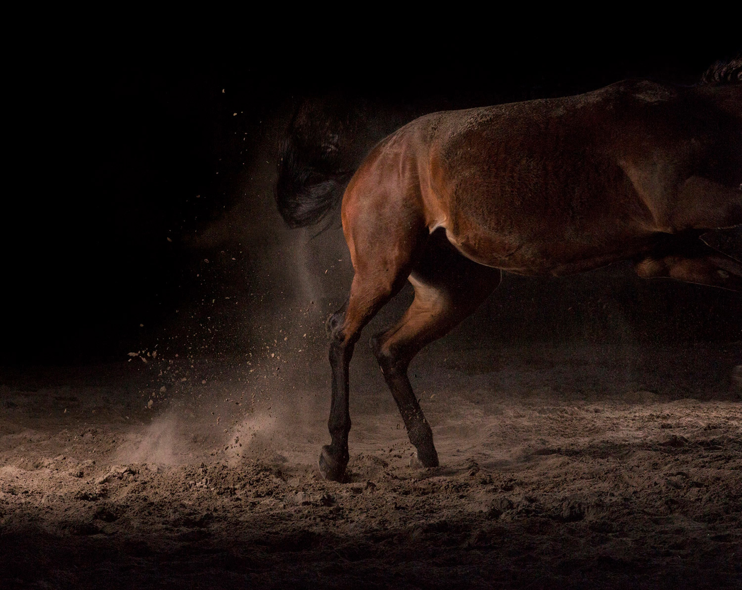 Momentum I-IX 9 — The Horse