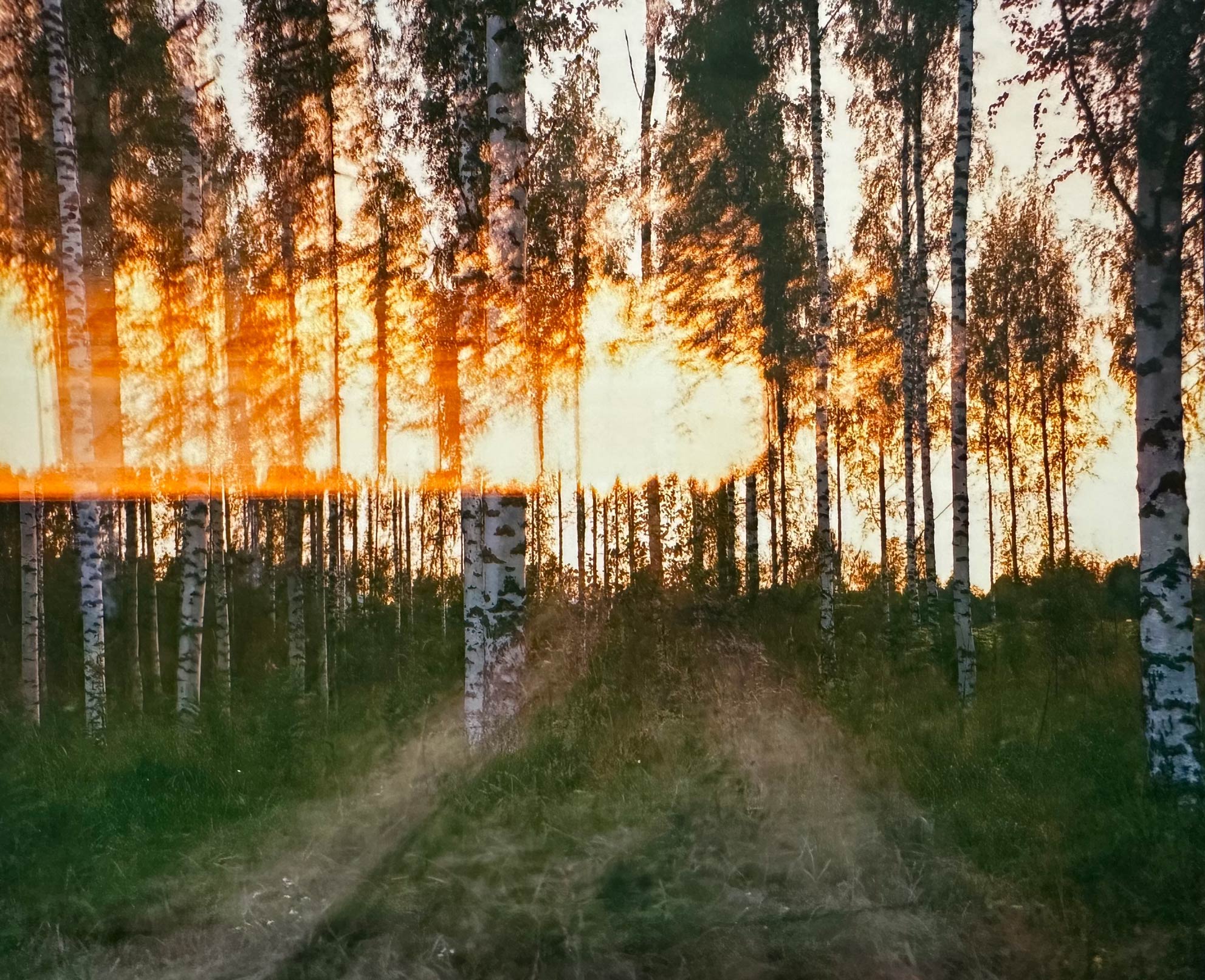 Vastapuu