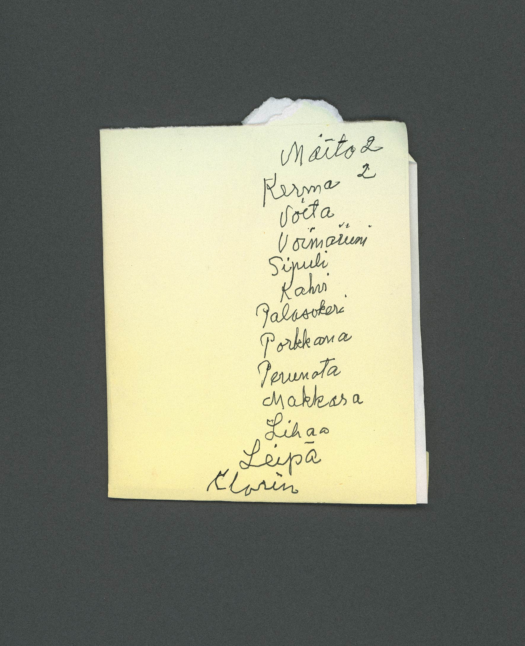 Milk, Butter and Other Things (Sylvi's shopping list) — 2022 — Vastapuu